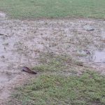 Div. Inferiores e Infantiles suspendido
