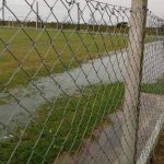 Fecha suspendida